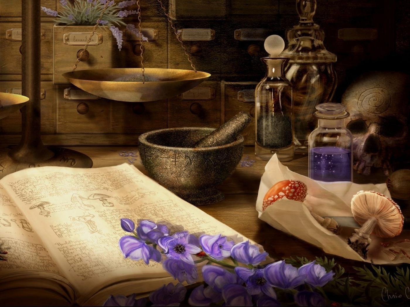 Колдовство, рисунок, книга заклинаний, приготовления, грибы,цветы