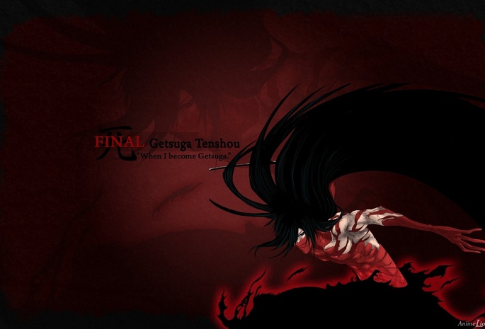 , ,  shinigami, ,  getsuga tenshou