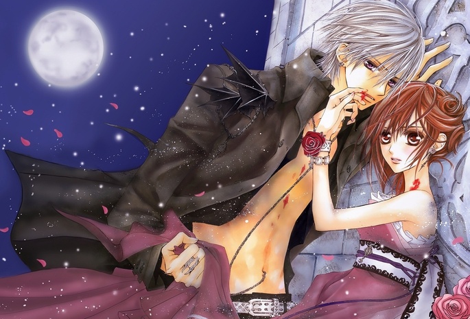 kiryu zero, yuuki cross, Vampire knight, , , -