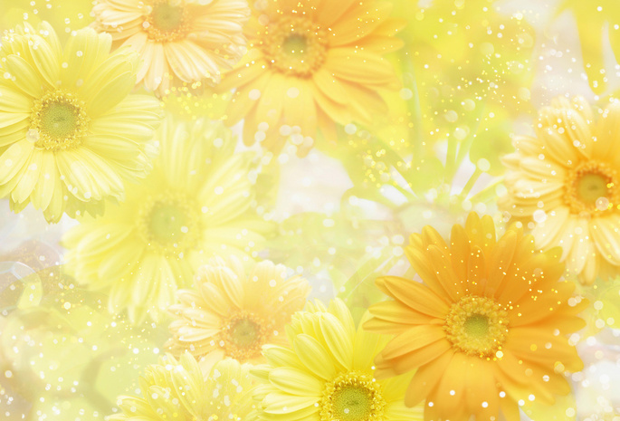 yellow, , , , flowers