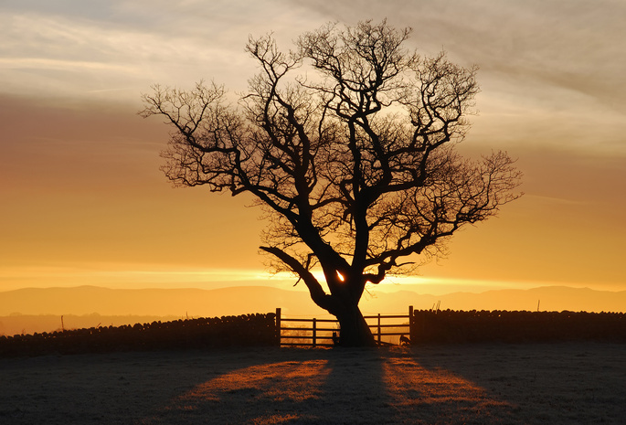 , , , , eden valley