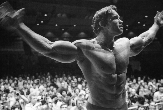  , , , arnold schwarzenegger