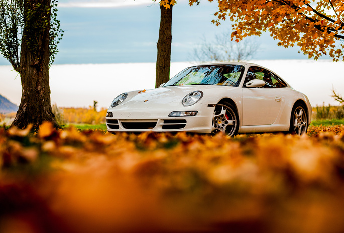 foliage, tree, 911, porsche, white, autumn, , sky, 911