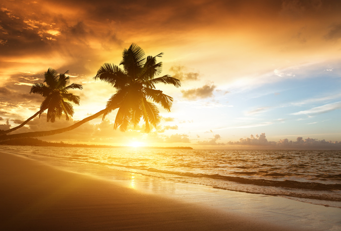 palms, ocean, sunrise, caribbean, clouds,, sea, sunlight