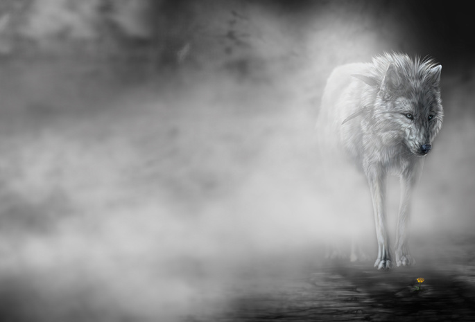 art, , wolfroad, The fog, , 
