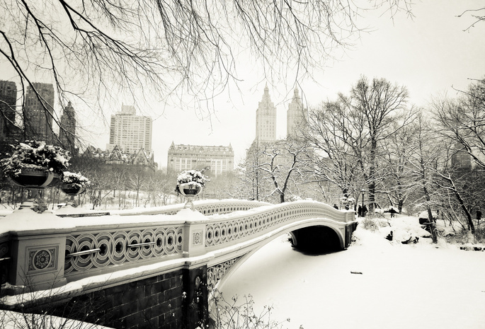 central park, usa, New york city, bow bridge, -, nyc, , manhattan