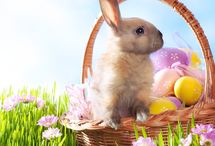 , , , , , Easter