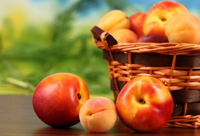 apricots, , , , fruit, , peaches