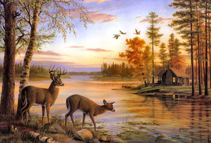 painting, river, birch, deer, mary pettis, Quiet evening, nature