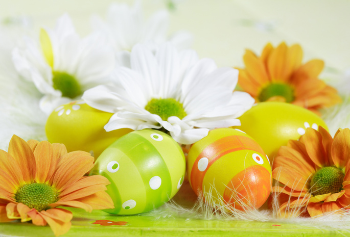 пасха, яйца, весна