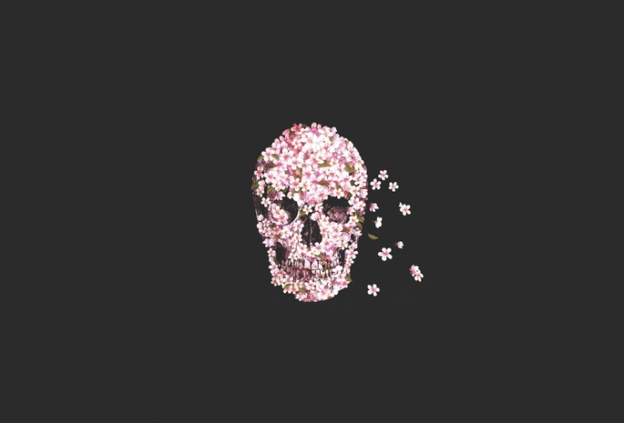 , flower, Skull, 