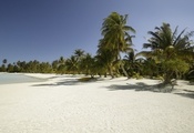белоснежный пляж, песок, тропические заросли
