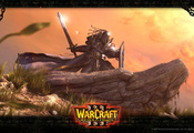 Warcraft, reign of haos, , , 