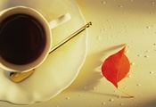 Кофе, эспрессо, чашка, красный листок, капли, композиция, ранее утро