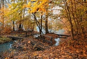 деревянный мостик, ручей, лес, листва