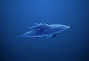 дельфин, мама и малыш, голубой