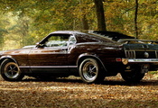 Mustang, musclecar, , 