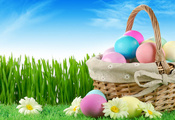 flowers, nature, grass, sky, easter, Holiday, eggs