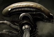Alien, Xenomorph, H.R.Giger, , , Weyland-Yutani, Sulaco, LV-4 ...