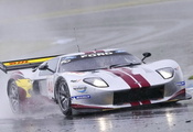 , , ford gt gt3, 