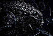 Alien vs Predator, Alien, Xenomorph, H.R.Giger, , , ,  ...
