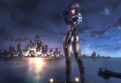 Ghost In The Shell, GITS,   , , ,  9