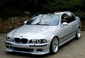 BMW M5, E39, 5 Series, , , M5, Angel Eyes, 