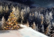 снег, Рождество, зима, лес, ночь, праздник, новый год, елки, елка