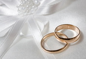 обручальные кольца, Бантик, свадьба, белый, фон