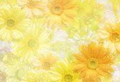 yellow, , , , flowers