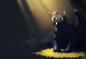 , How to train your dragon, toothless,   