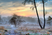 зима, Природа, иней, туман, снег, утро