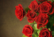 красные, red, Цветы, roses, flowers, розы