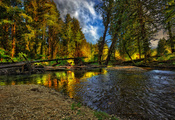 beautiful, river, forest, nice, cool, , autumn, , Nature, land ...