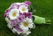 lovely, beautiful, gerberas, cool, elegantly, wedding, roses, Flower, nice, ...
