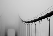 , city, , , golden gate bridge, bridge, San francisco, fog, c ...
