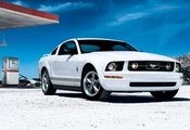, Ford, , , mustang, , , coupe