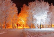 деревья, ночь, иней, зима, парк, фонарь