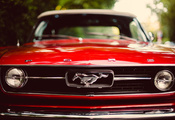 mustang, ford, red, , , classic, 