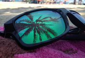 пляж, пальма, отражение, очки