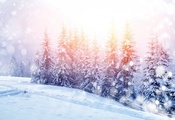 зима, снег, деревья, природа, пейзаж