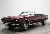 , Chevrolet, muscle car, , camaro, convertible, 1967,  ...