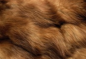 Текстура, animal texture, фон на рабочий, мех