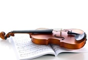 ноты, журнал, Скрипка, музыкальный инструмент, струны