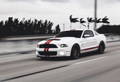 Ford, gt500, mustang, , muscle car, , , shelby,  