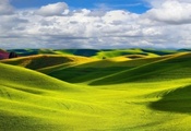пейзаж, природа, луг, зелень, трава, день, солнце, свет, облака