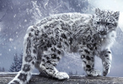 снежный барс, снежный леопард, ирбис, снег, дикая кошка