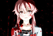 Mirai nikki,  ,  ,  , 