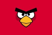 , , angry birds, 