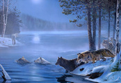 Волки, деревья, болото, лес, лед
